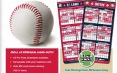 Magnetic Baseball Schedules